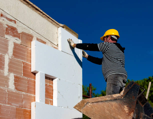 Best Insulation Installation Services in Linden, AZ