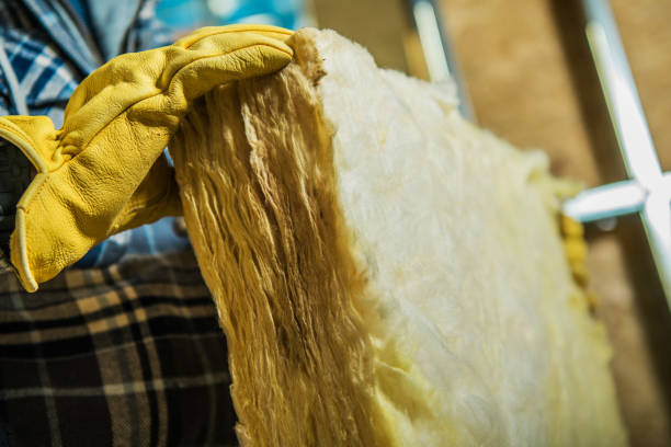 Best Commercial Insulation in Linden, AZ